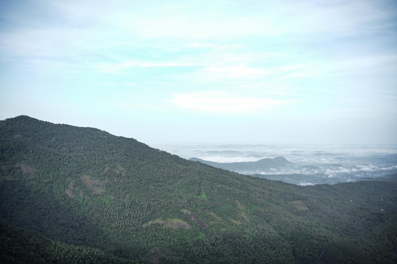 Misty valley view from Vayalada View Point
